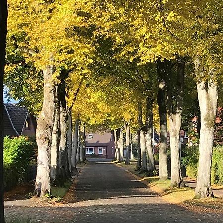 Ferienwohnung Am Holzfeld Шнефердінген Екстер'єр фото